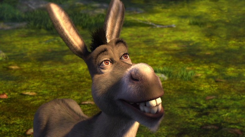 Donkey smiling