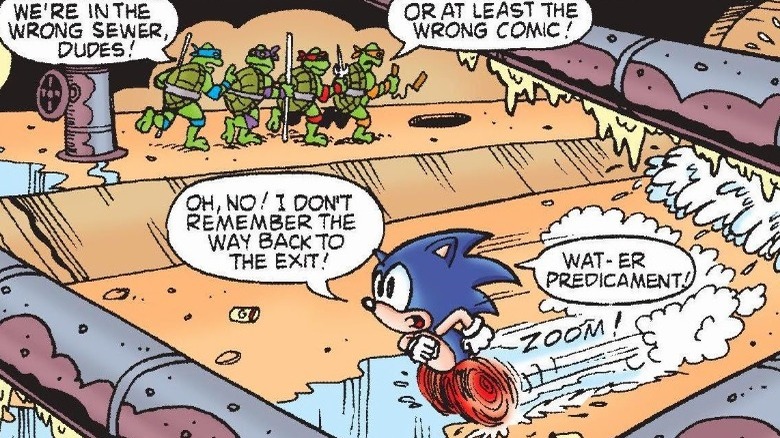 The TMNT and Sonic