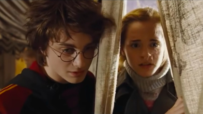 Harry and Hermione talking through a tent flap