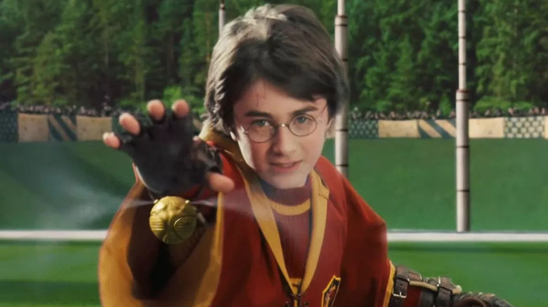 Harry reaching for the Golden Snitch