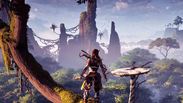 Aloy views the horizon