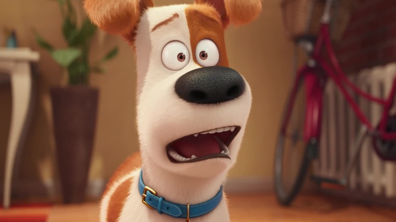 Max in The Secret Life of Pets