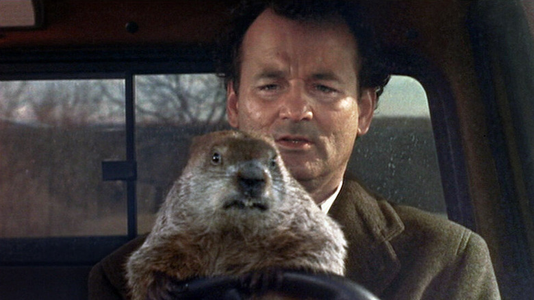 Bill Murray as Phil Connors in Groundhog Day