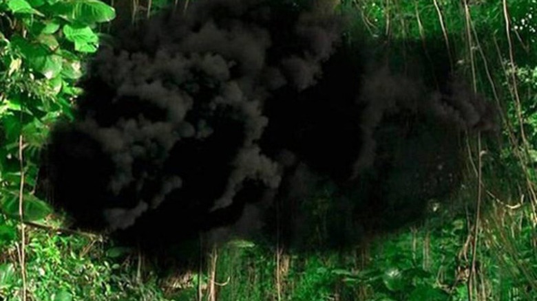 a cloud of smoke in the jungle