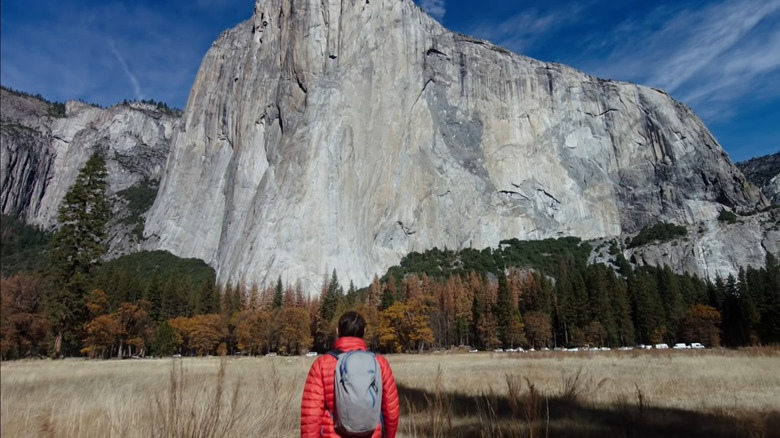 Alex Honnold approaching El Capitan