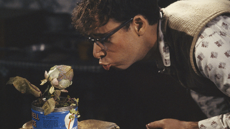 Seymour leans in to kiss Audrey II in "Little Shop of Horrors" (1986)