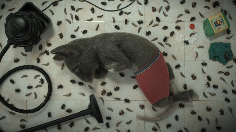 A mouse sleeping on the floor with bugs