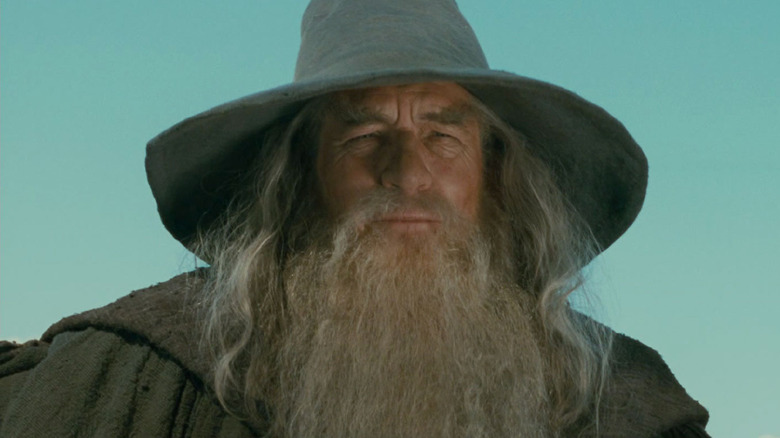 Ian McKellen in wizard outfit