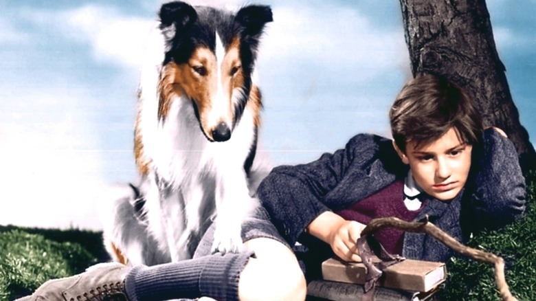 Joe and Lassie sitting together