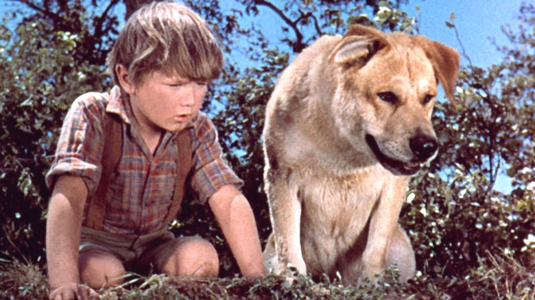 Old Yeller and Travis Coates