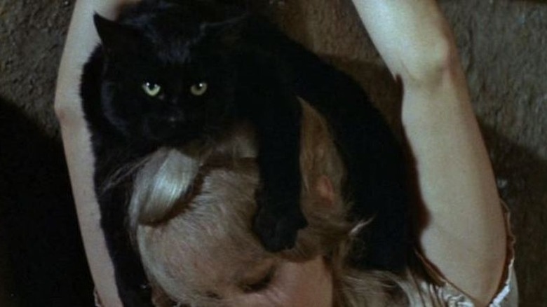 Black cat sits atop a woman