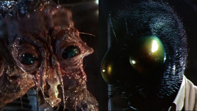 Both versions of the final Fly form