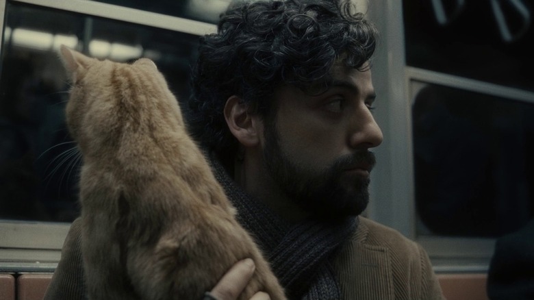 Llewyn Davis holds cat