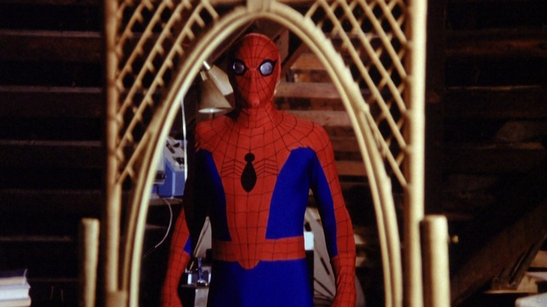 Spider-Man looking in mirror 