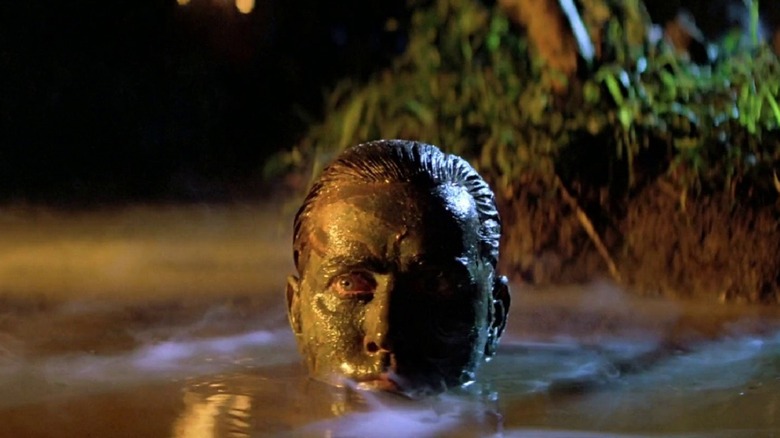 Martin Sheen in water