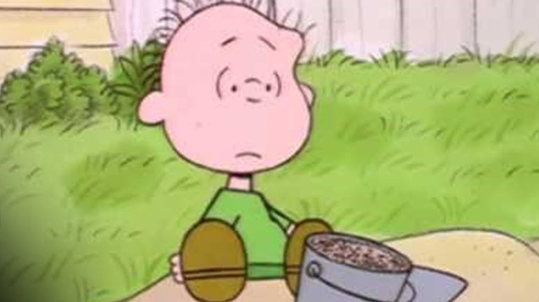 15 Most Popular Peanuts Characters Ranked Worst To Best