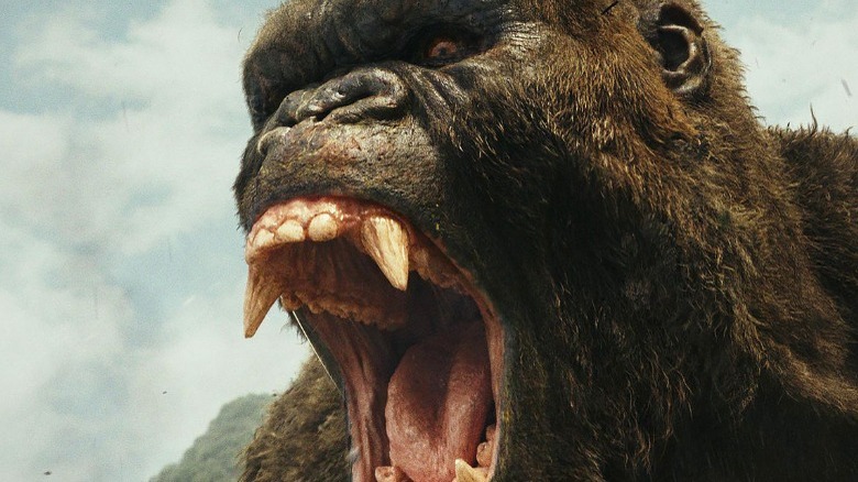 The giant ape roars in Kong: Skull Island