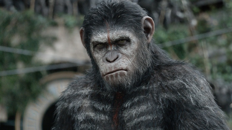 Dawn of the Planet of the Apes