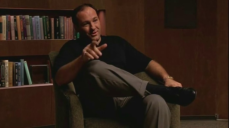 Tony Soprano talks in therapy