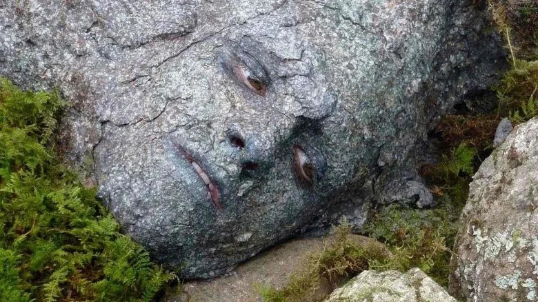 Peeta disguised as a rock