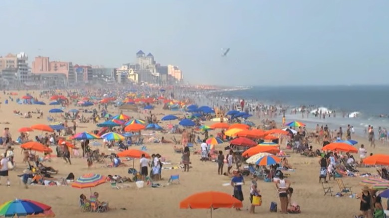 Memorial Day at the beach 