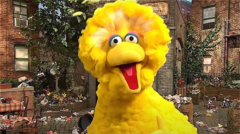 big bird open mouth