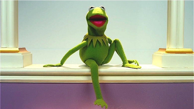 kermit sitting/ the muppets 2011
