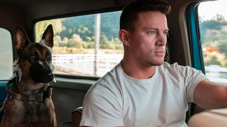 Channing Tatum driving with a dog