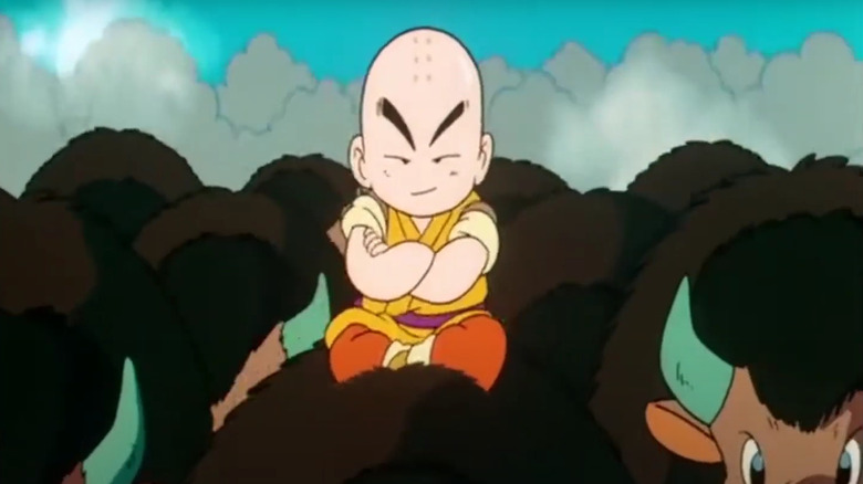 Krillin rides the buffalo herd