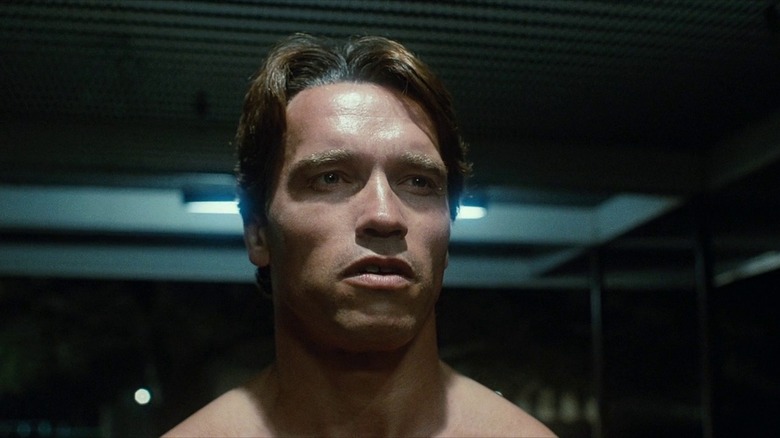 Arnold Schwarzenegger as the T-800