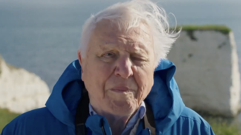 David Attenborough on windy beach