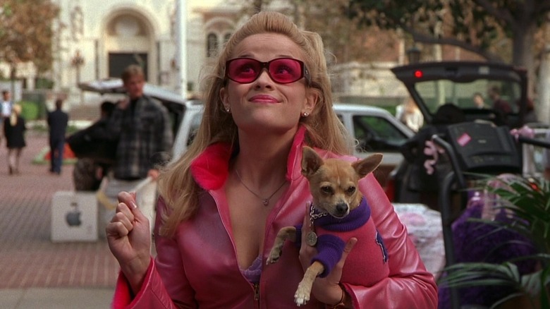 Elle Woods arrives at Harvard