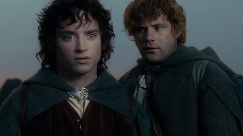 Samwise Gamgee looks at startled Frodo Baggins