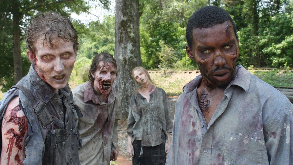 A group of walkers looking hungry