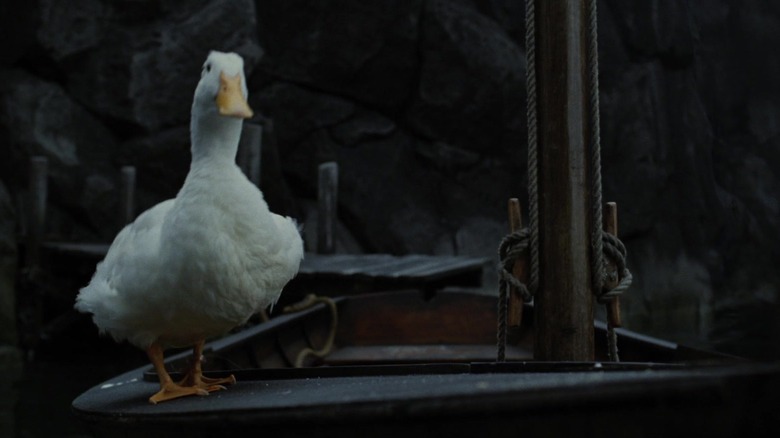 The Aflac duck stands still