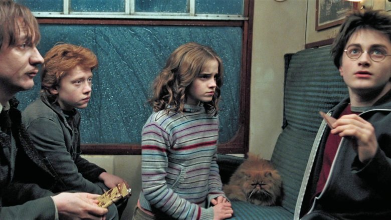 David Thewlis, Rupert Grint, Emma Watson, Daniel Radcliffe, and Crookshanks in Harry Potter and the Prisoner of Azkaban