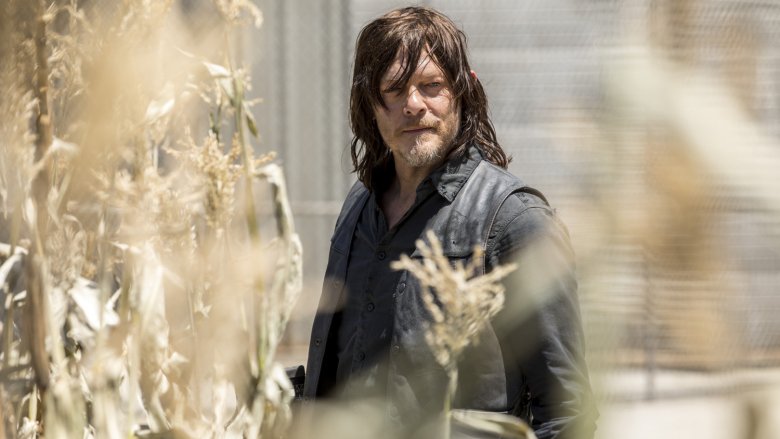 Daryl Walking Dead