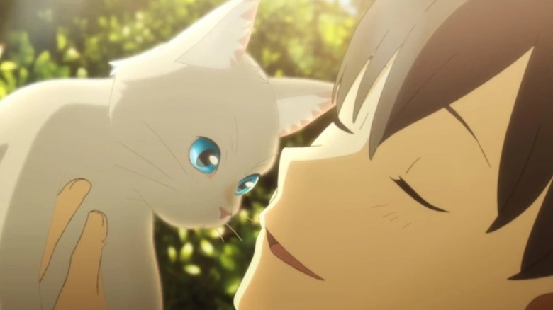 Miyo, cat, A Whisker Away