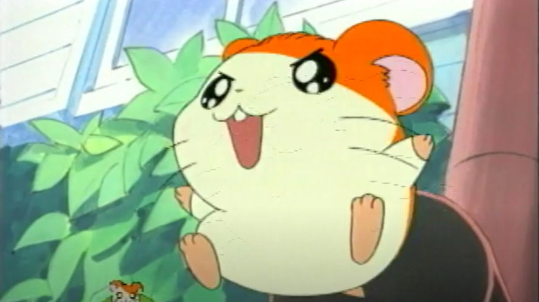 Hamtaro flying out a pipe