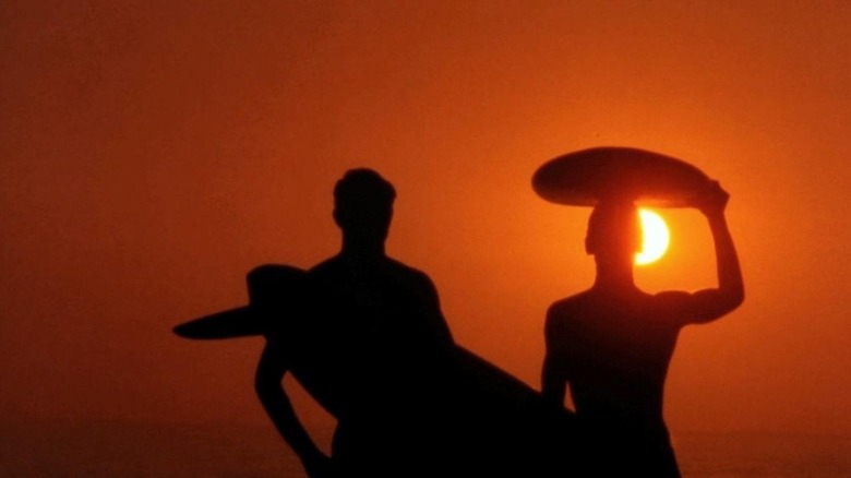 Silhouette of surfers