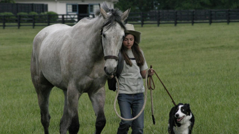 Belle, Atticus, and a horse