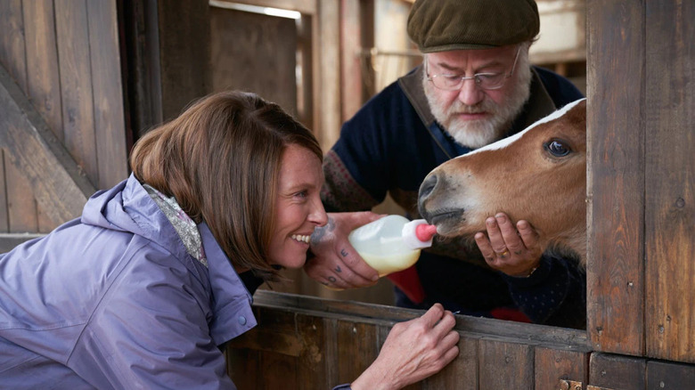  Toni Collette feeds a horse