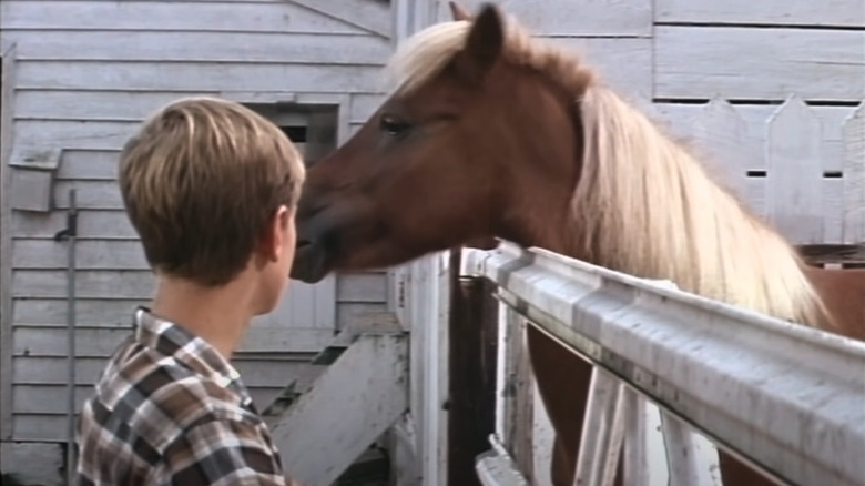 A boy and his horse