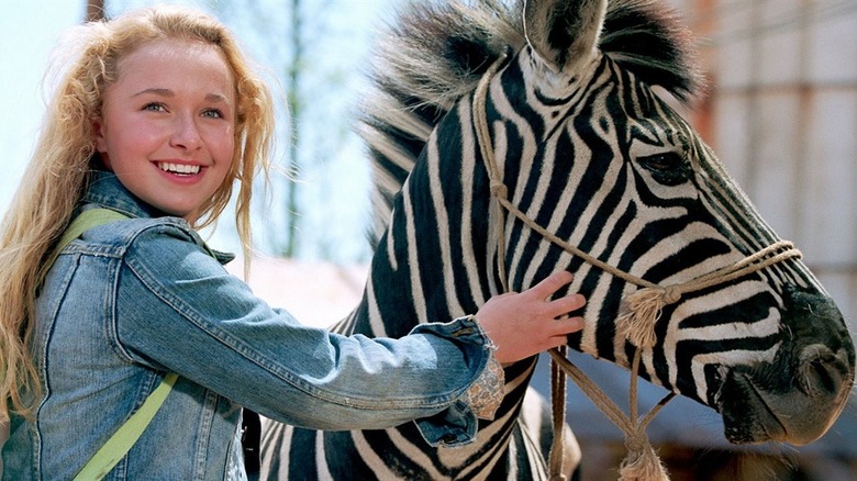 Hayden Panettiere and a zebra