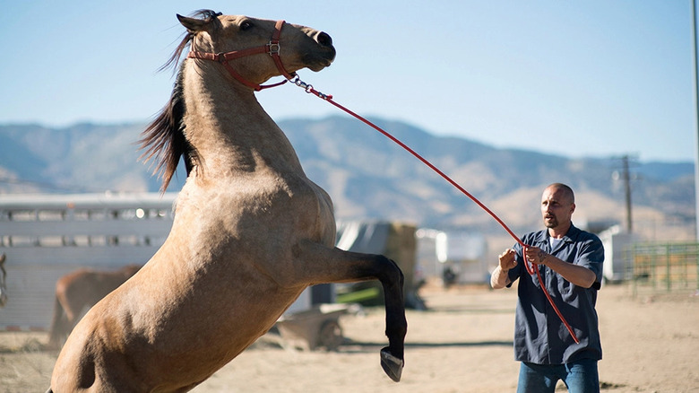 Roman works with The Mustang