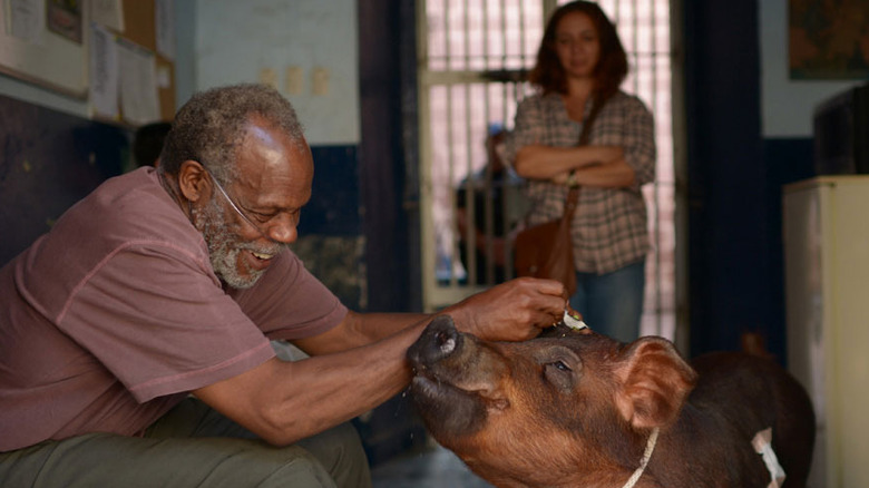 Danny Glover in Mr. Pig