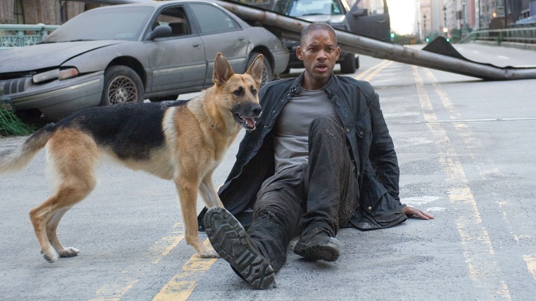 I Am Legend's Robert and dog on street