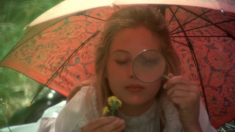 Miranda St. Clare studies dandelion