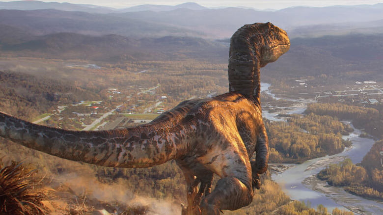 Raptor looking over canyon