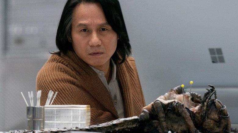 Dr. Wu looks at giant locust